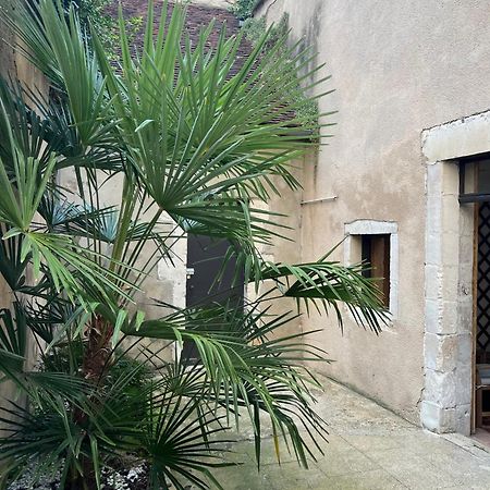 Cosy Appartement Hyper Centre Ville Avec Cour + Patio Оксер Екстериор снимка